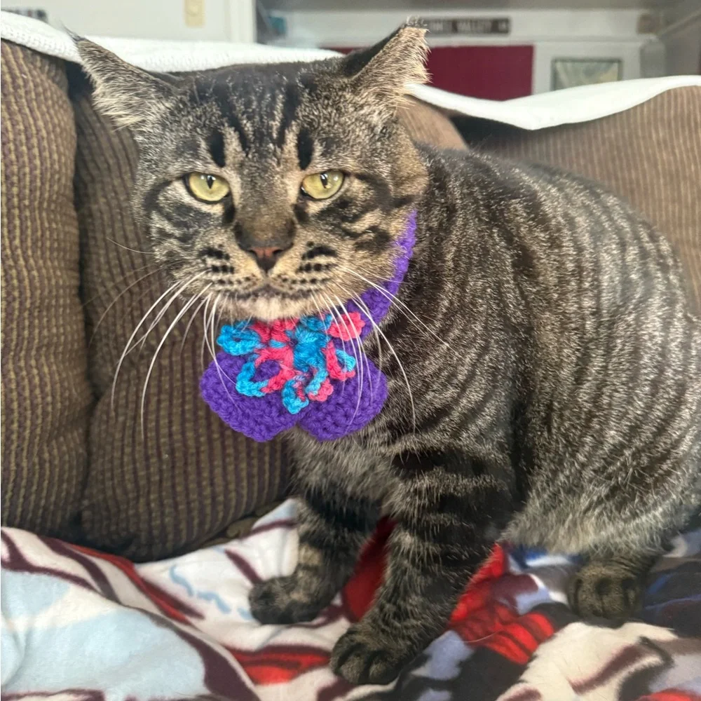 Handmade Purple Cat / small dog scarf with Multicolor Accents